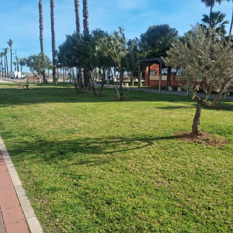 APARTAMENTO LA PALMERA - Apartamento de 2 dormitorios - 24