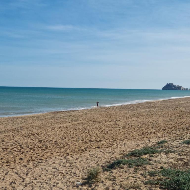 APARTAMENTO LA PALMERA - Apartamento de 2 dormitorios - 25