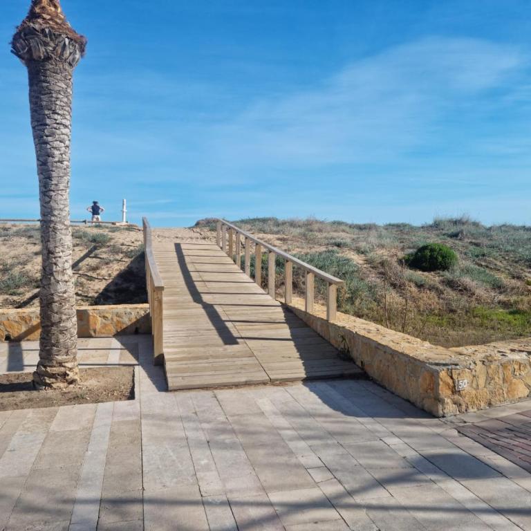 APARTAMENTO LA PALMERA - Apartamento de 2 dormitorios - 2