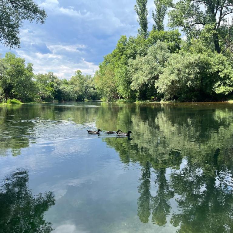 Duos Rios - Two-Bedroom Villa - 13