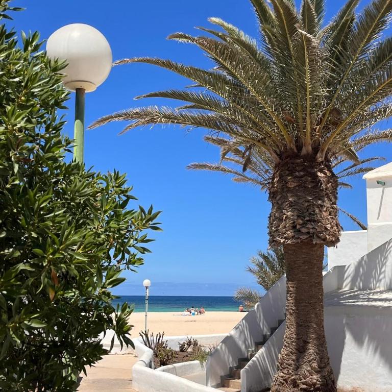 Sun and Sand El Cotillo - One-Bedroom Apartment - 26