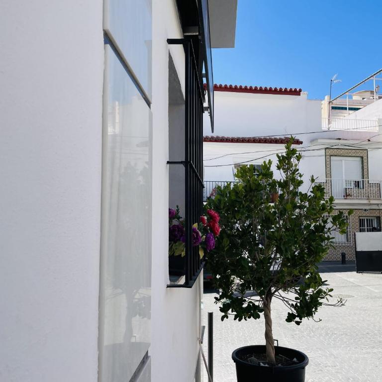 Apartamento Jimena Maro en el centro de Nerja - Apartamento de 1 dormitorio - 29