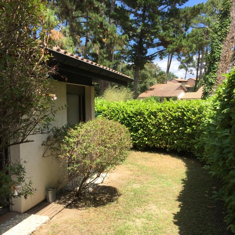 Maison Sous Les Pins - Casa de 3 dormitorios - 4
