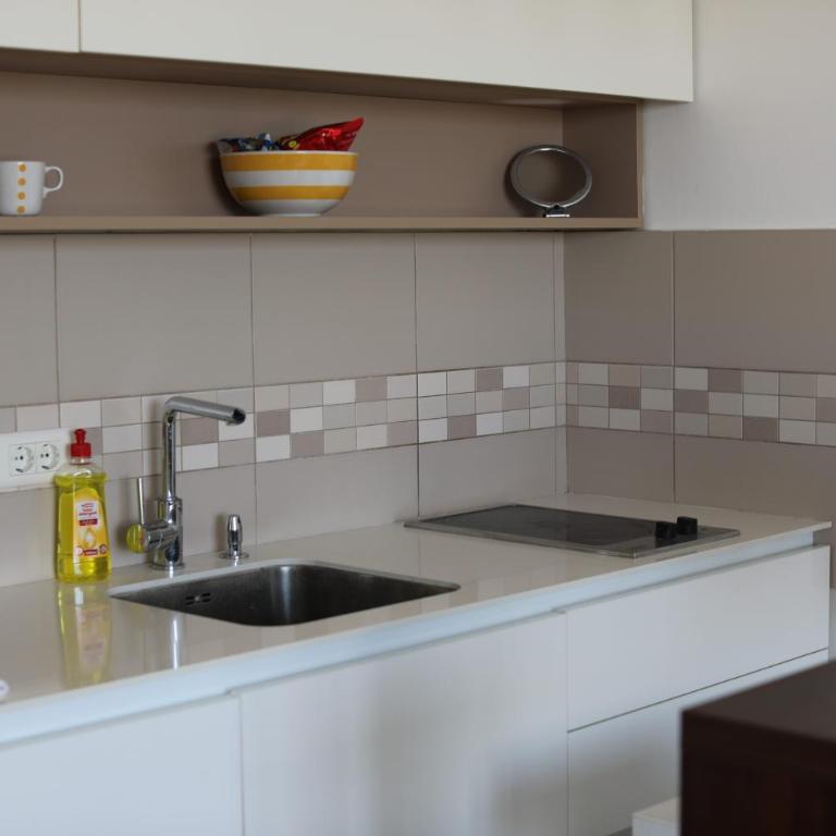 Lucic apartments Dorcol - Apartman sa 1 Spavaćom Sobom - 5