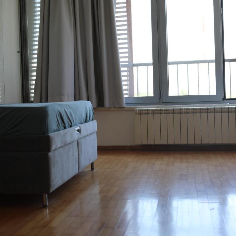 Lucic apartments Dorcol - Apartman sa 1 Spavaćom Sobom - 11