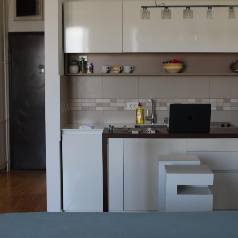 Lucic apartments Dorcol - Apartman sa 1 Spavaćom Sobom - 12