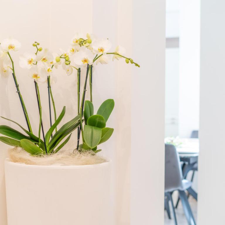 Antico Borgo 7 - Elegant Apartment Walking Distance to Montepulciano Historic Centre - Appartamento con 2 Camere da Letto - 19