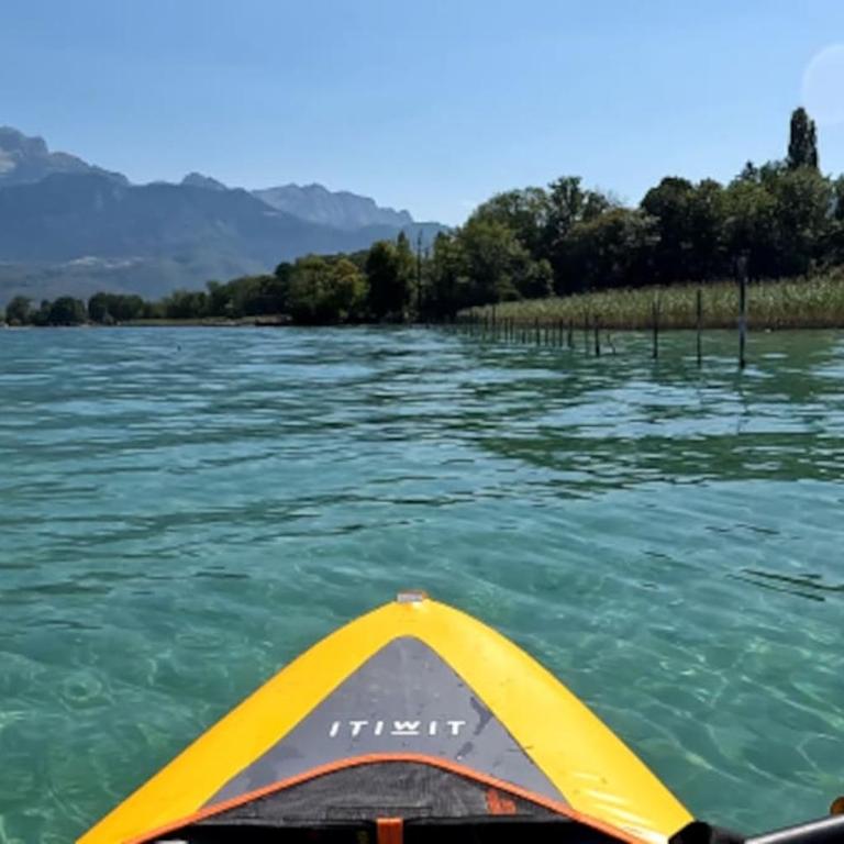 Appartement T3 classé trois étoiles au calme de plain-pied au centre Doussard avec vue sur montagne, lac Annecy à proximité - Two-Bedroom Apartment with Terrace - 24