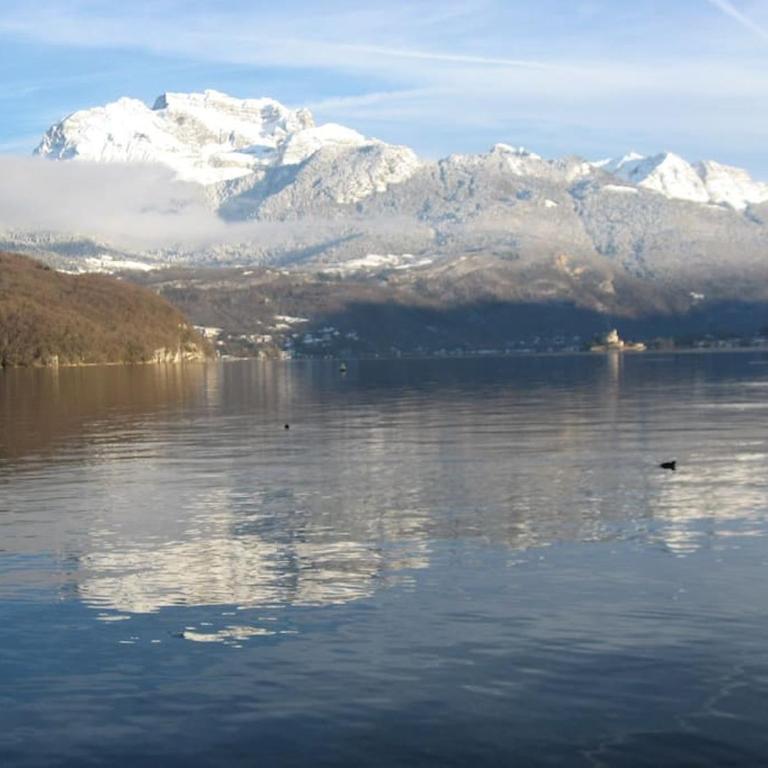 Appartement T3 classé trois étoiles au calme de plain-pied au centre Doussard avec vue sur montagne, lac Annecy à proximité - Two-Bedroom Apartment with Terrace - 26