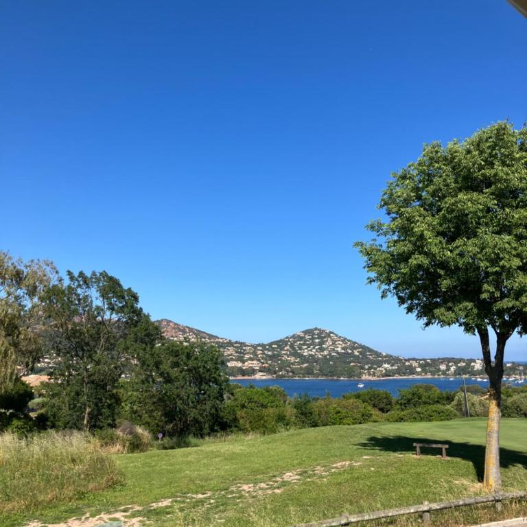 Joli meublé T2 au Cap Esterel vue Esterel et mer - Appartement 1 Chambre - 5
