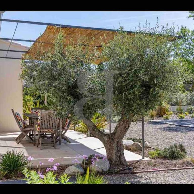 Au pied des Alpilles villa 3 chambres - Villa 3 Chambres - 10