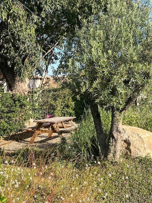 Au pied des Alpilles villa 3 chambres - Villa 3 Chambres - 19