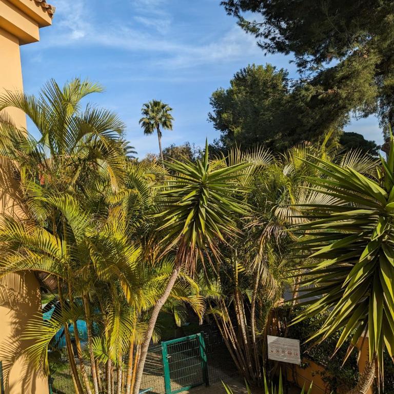 Marbella - Playa Alicate 2br holiday apartment - Two-Bedroom Apartment - 13