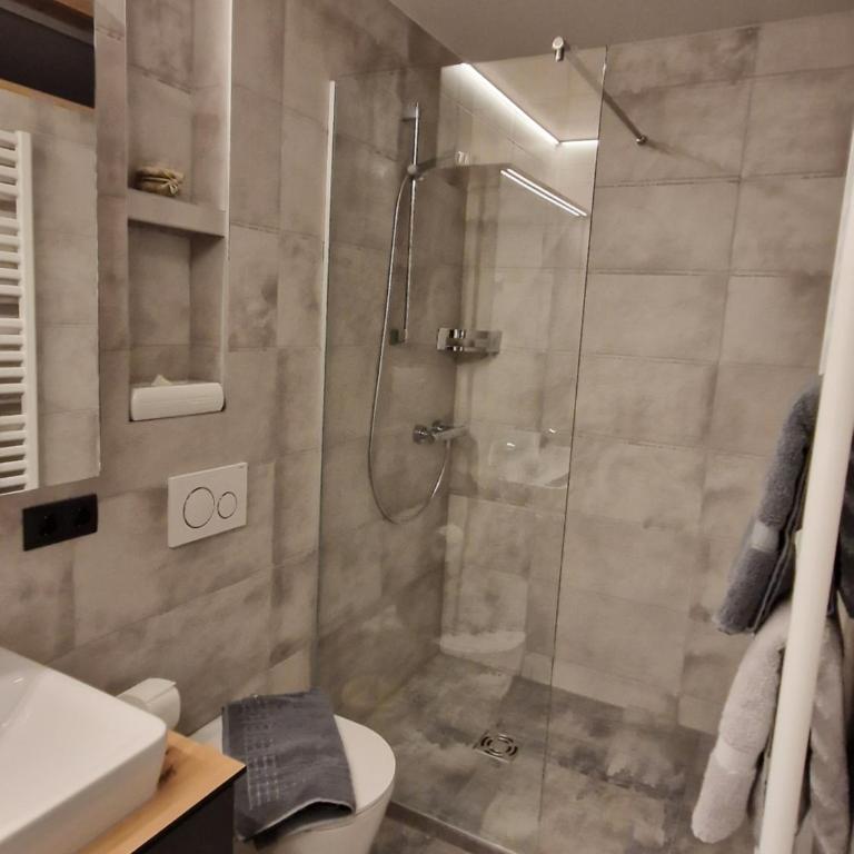 Haus Rätikon - Apartamento de 2 dormitorios con ducha - 11