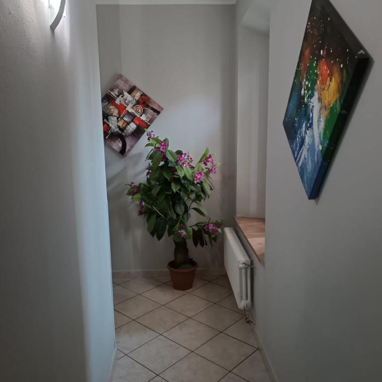Albergo onlysleep - Appartamento con 1 Camera da Letto - 5