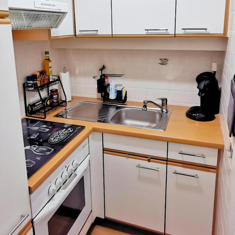 Maria Alm - Cozy & Modern Apartment Mountain View - Appartement 1 Chambre - 7