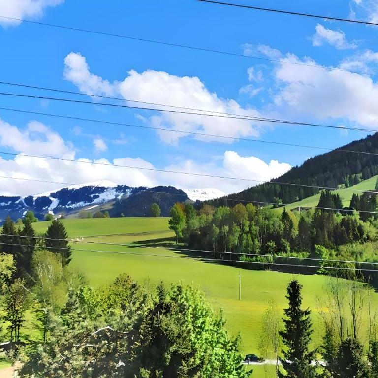 Maria Alm - Cozy & Modern Apartment Mountain View - Appartement 1 Chambre - 12