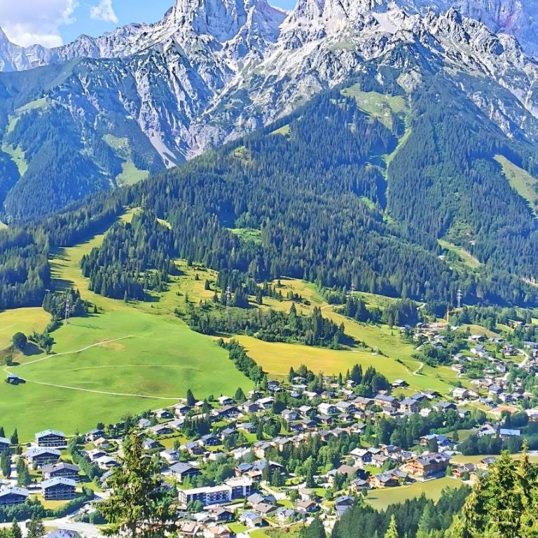 Maria Alm - Cozy & Modern Apartment Mountain View - Appartement 1 Chambre - 19