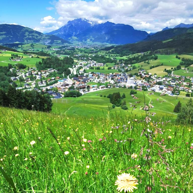 Maria Alm - Cozy & Modern Apartment Mountain View - Appartement 1 Chambre - 18