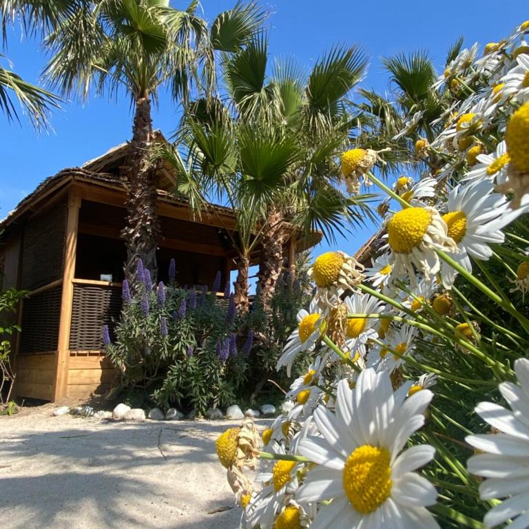Kon Tiki - Hutte Tiki Jardin Premium - Bungalow 2 Chambres (4 Adultes + 2 Enfants) - 6