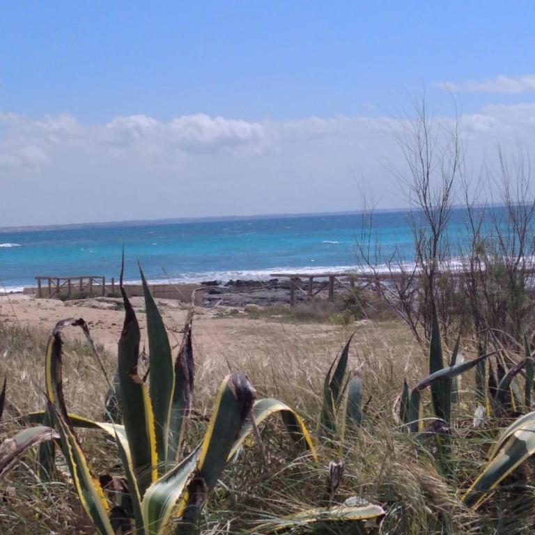 Villa Bonnie a 25 metri dal mare - Vacation Home - 36