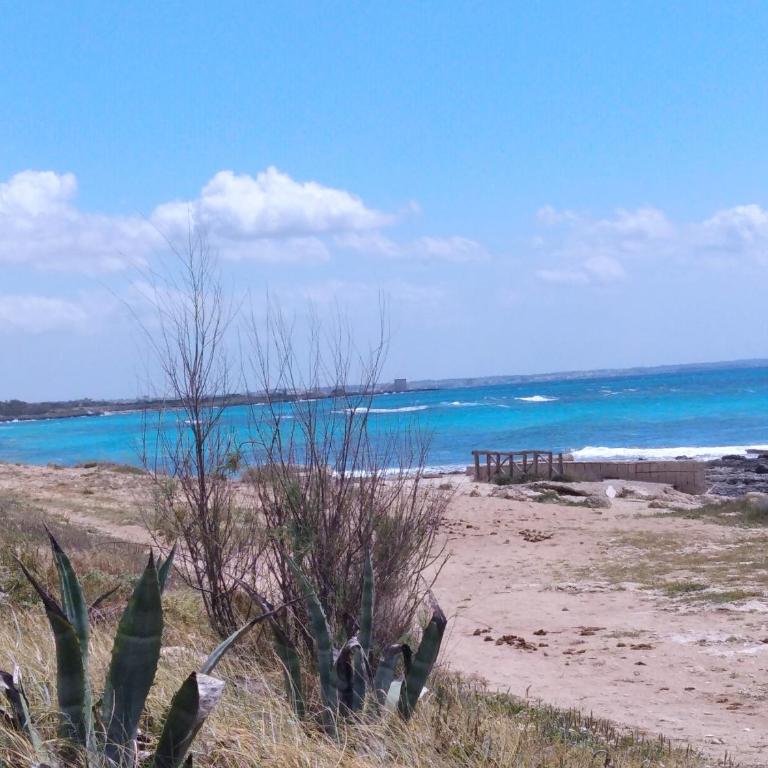 Villa Bonnie a 25 metri dal mare - Vacation Home - 35