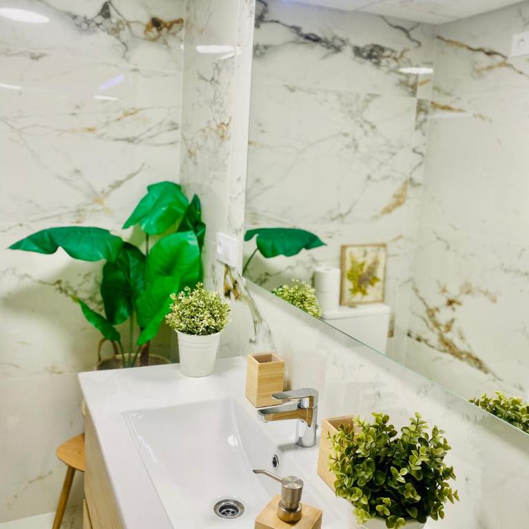 Sunny sweet apartment Olga - Apartamento de 1 dormitorio - 55