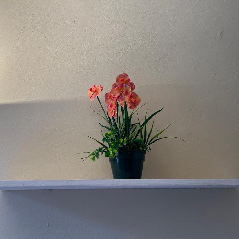 Appartamento Firenze Mayer - Appartamento con 1 Camera da Letto - 9