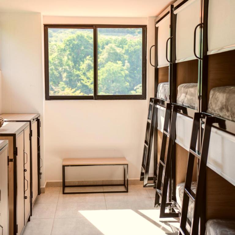 Trip Monkey del Río - Bed in 8-Bed Mixed Dormitory Room Second Floor - 7
