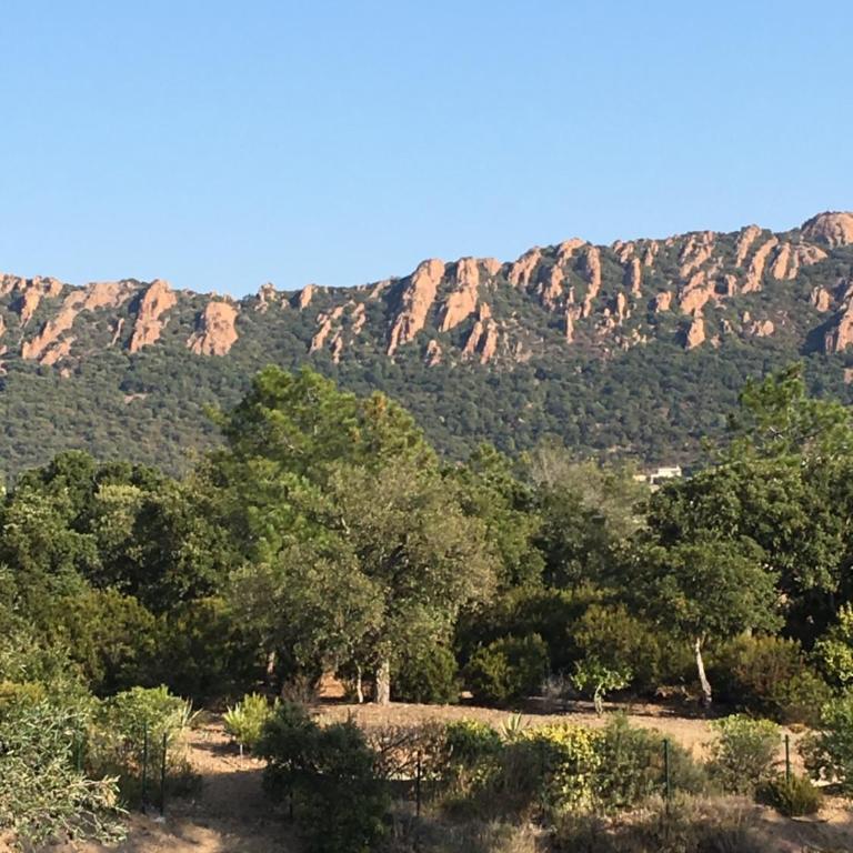 Joli meublé T2 au Cap Esterel vue Esterel et mer - Appartement 1 Chambre - 9