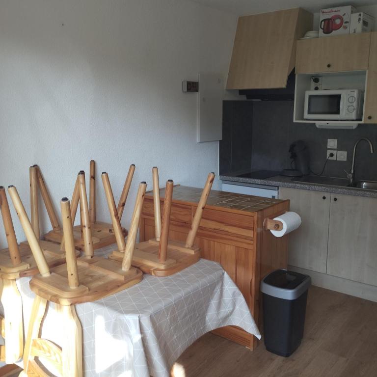 Charmant studio vu sur la montagne - Appartement 2 Chambres - 10