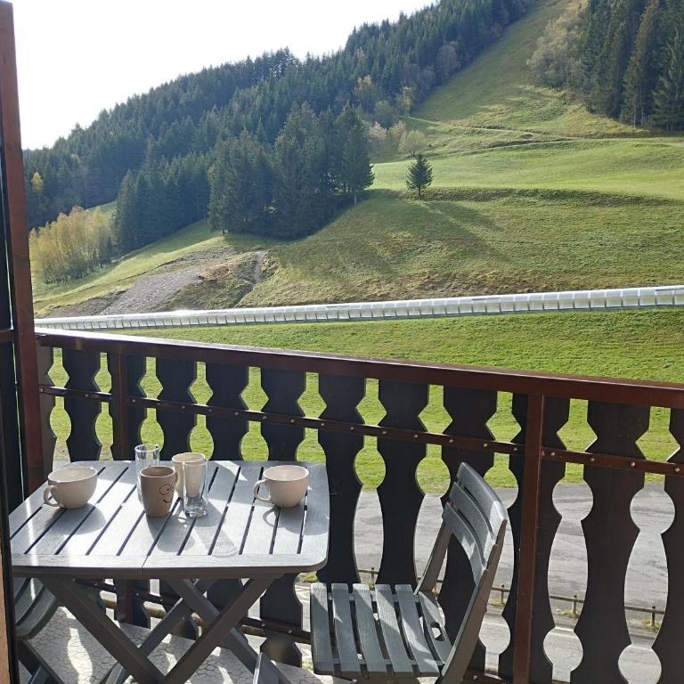 Charmant studio vu sur la montagne - Appartement 2 Chambres - 11