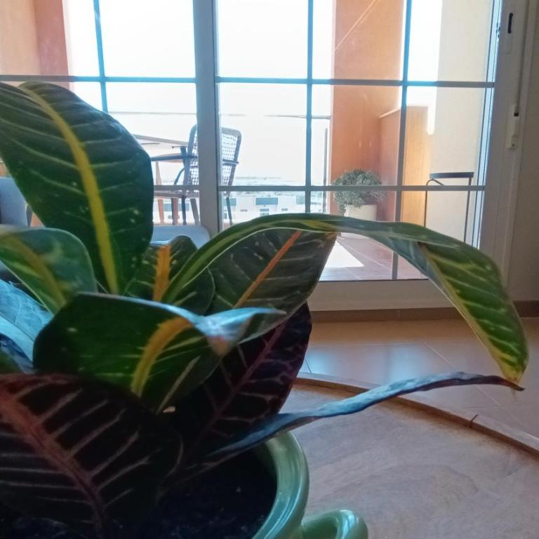 Congreso - Two-Bedroom Apartment - 1