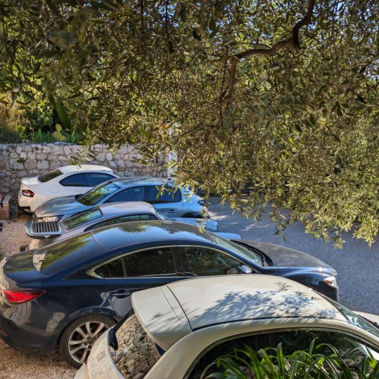 Le Mas d'Angeline-Vue mer panoramique, jardin partagé, parking, voiture indispensable, route étroite et pentue, à 10 min de Monaco - One-Bedroom Apartment with bathtub - with sea view - 27