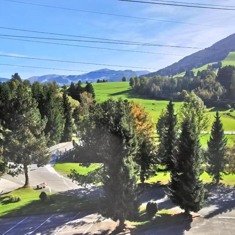 Maria Alm - Cozy & Modern Apartment Mountain View - Appartement 1 Chambre - 13
