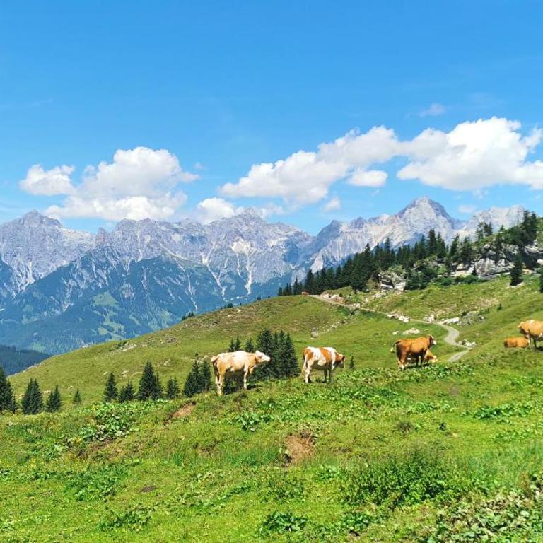 Maria Alm - Cozy & Modern Apartment Mountain View - Appartement 1 Chambre - 14