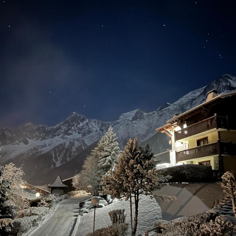 Les Houches vue magnifique avec piscine,pied des pistes de ski,garage - Appartement 1 Chambre - 11