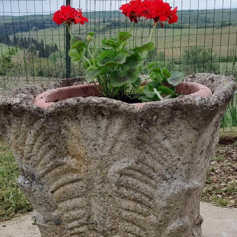 Il Giardino del Chianti - One-Bedroom Standard Apartment - 14
