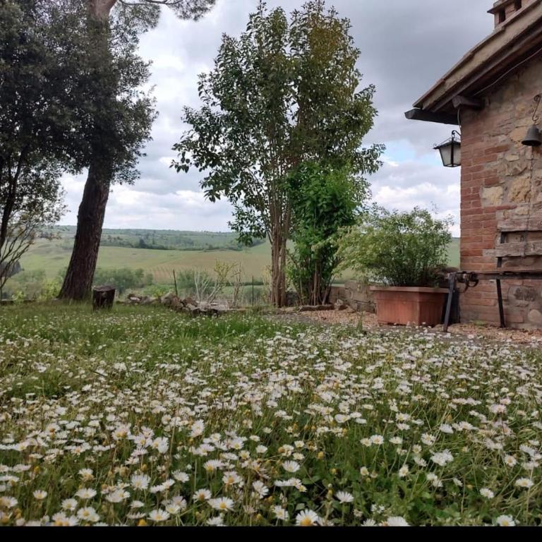 Il Giardino del Chianti - One-Bedroom Standard Apartment - 15