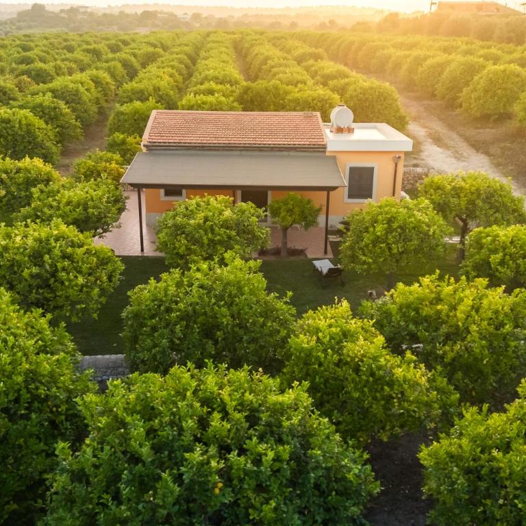 Fiore di Vendicari B&B - Sicilian Charme, Lemon Grove and Sea - Casa Vacanze - 16