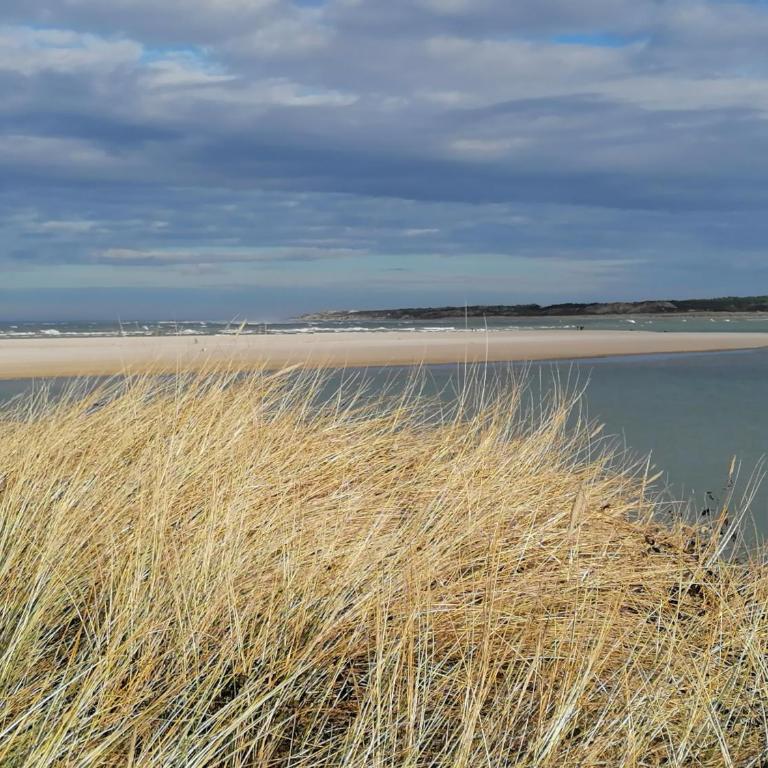 Les Voiliers au Touquet-Paris-Plage - Apartment mit 2 Schlafzimmern - 16