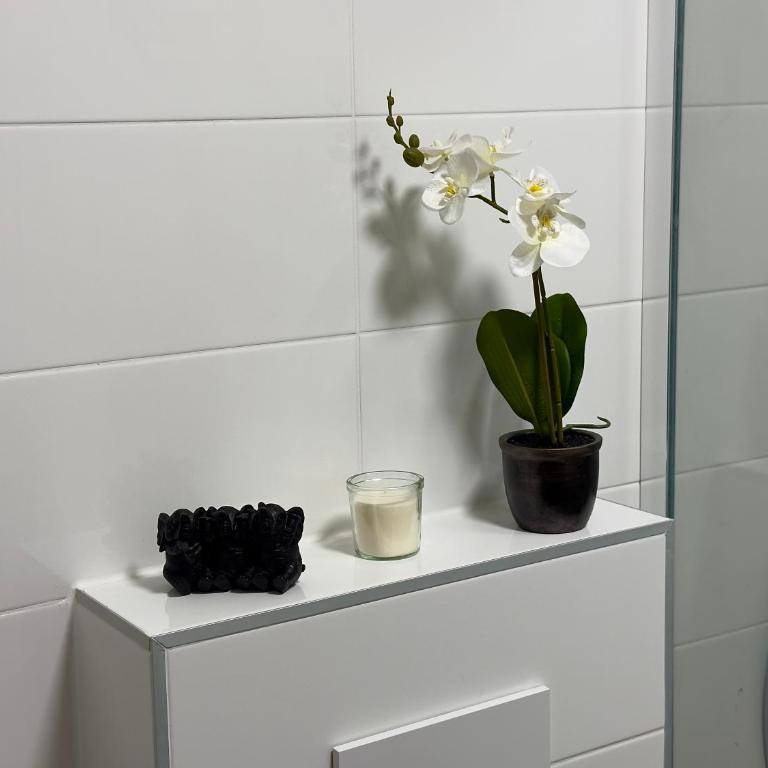 Alpenoase - Apartment mit 1 Schlafzimmer - 3