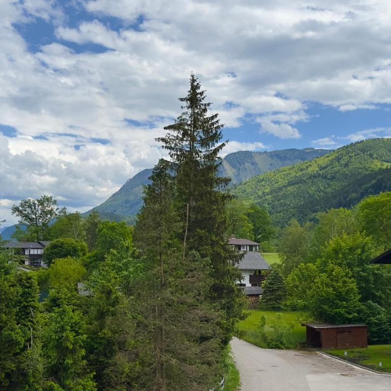 Alpenoase - Apartment mit 1 Schlafzimmer - 13
