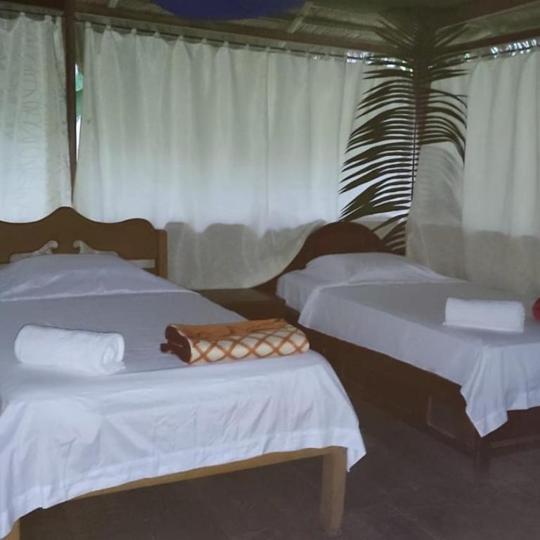 Amazon Tropical Expeditions - Bungalow Familiar - 3