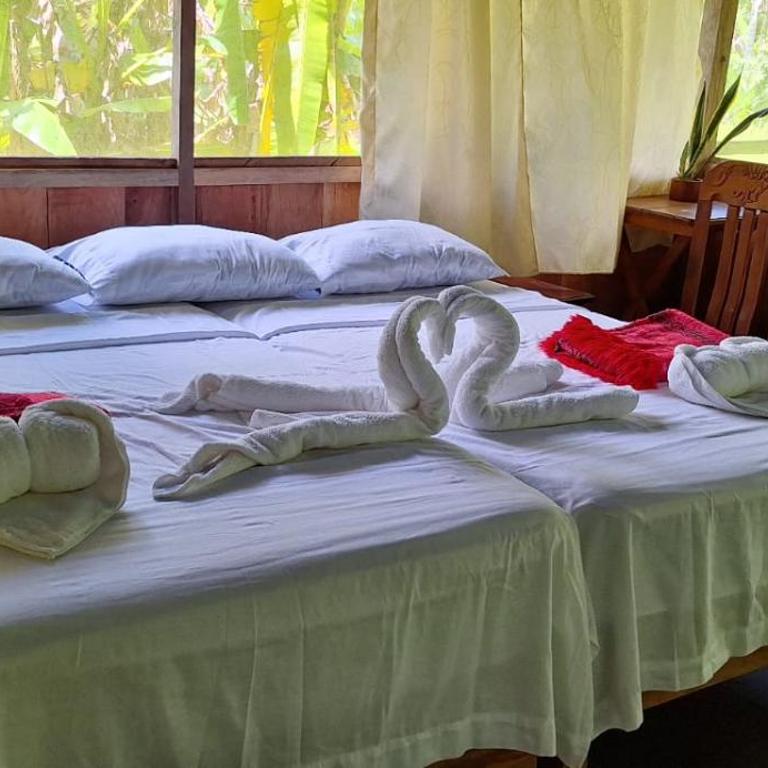 Amazon Tropical Expeditions - Habitación Doble - 9