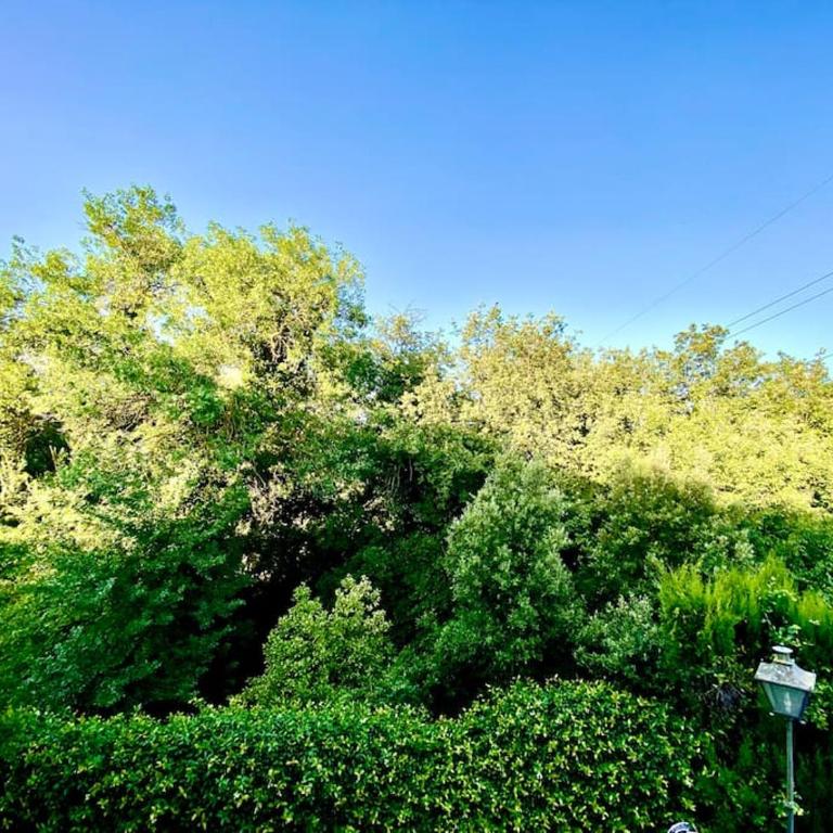 Exclusiva Casa de Lujo con Piscinas y Amplio Jardín en Zona Tranquila - Deluxe Villa - 34