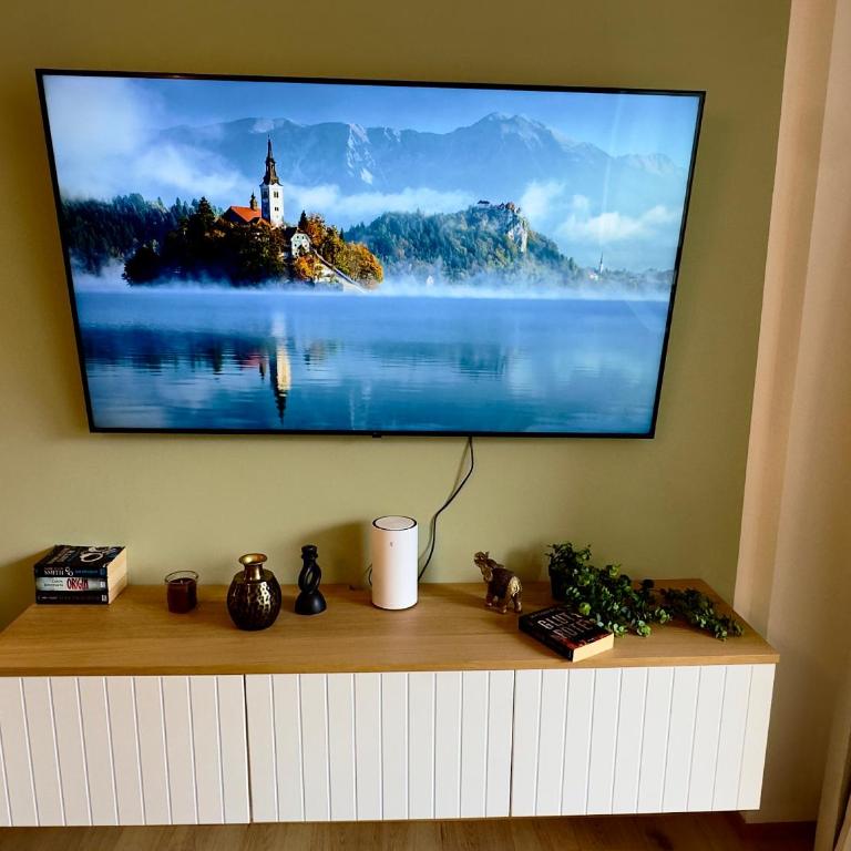Bergruhe - Appartement 1 Chambre - 6