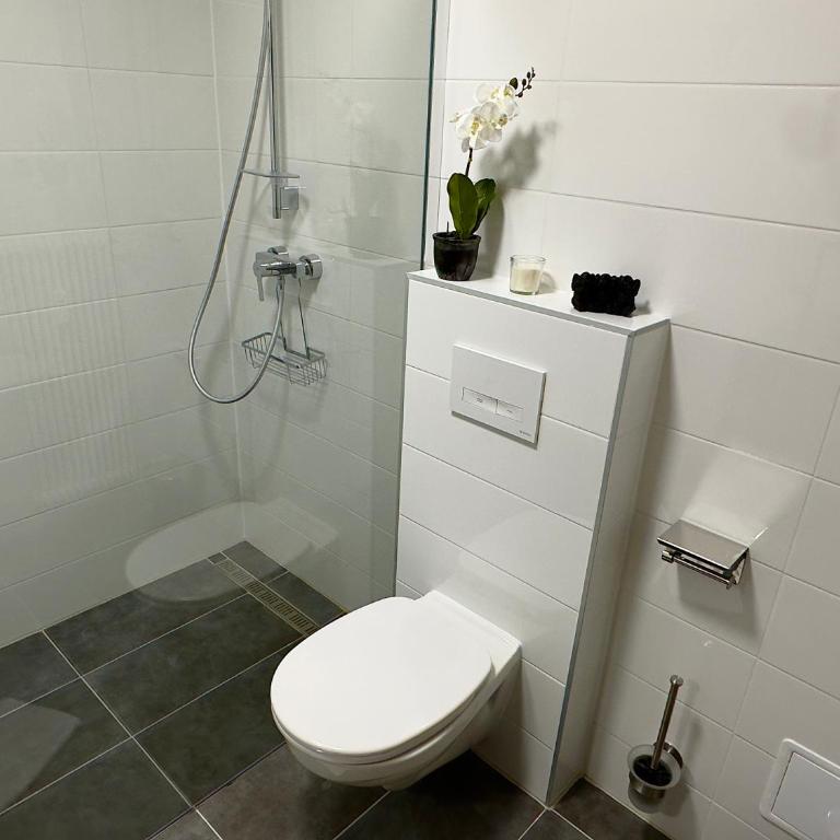 Bergruhe - Appartement 1 Chambre - 7
