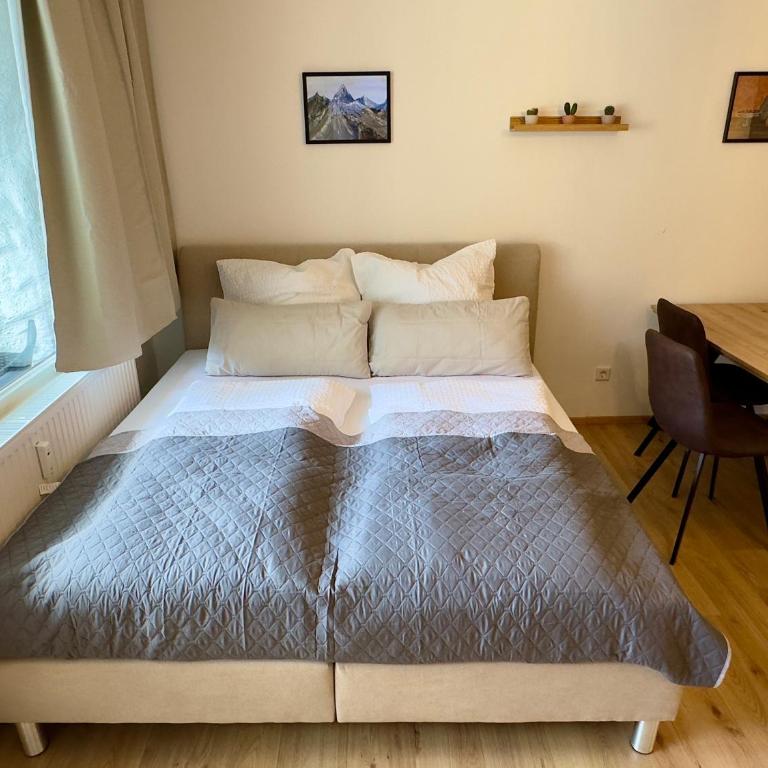 Bergruhe - Appartement 1 Chambre - 3
