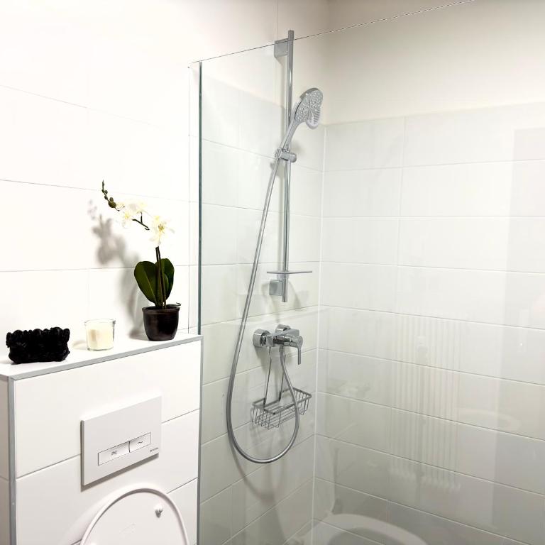 Bergruhe - Appartement 1 Chambre - 30
